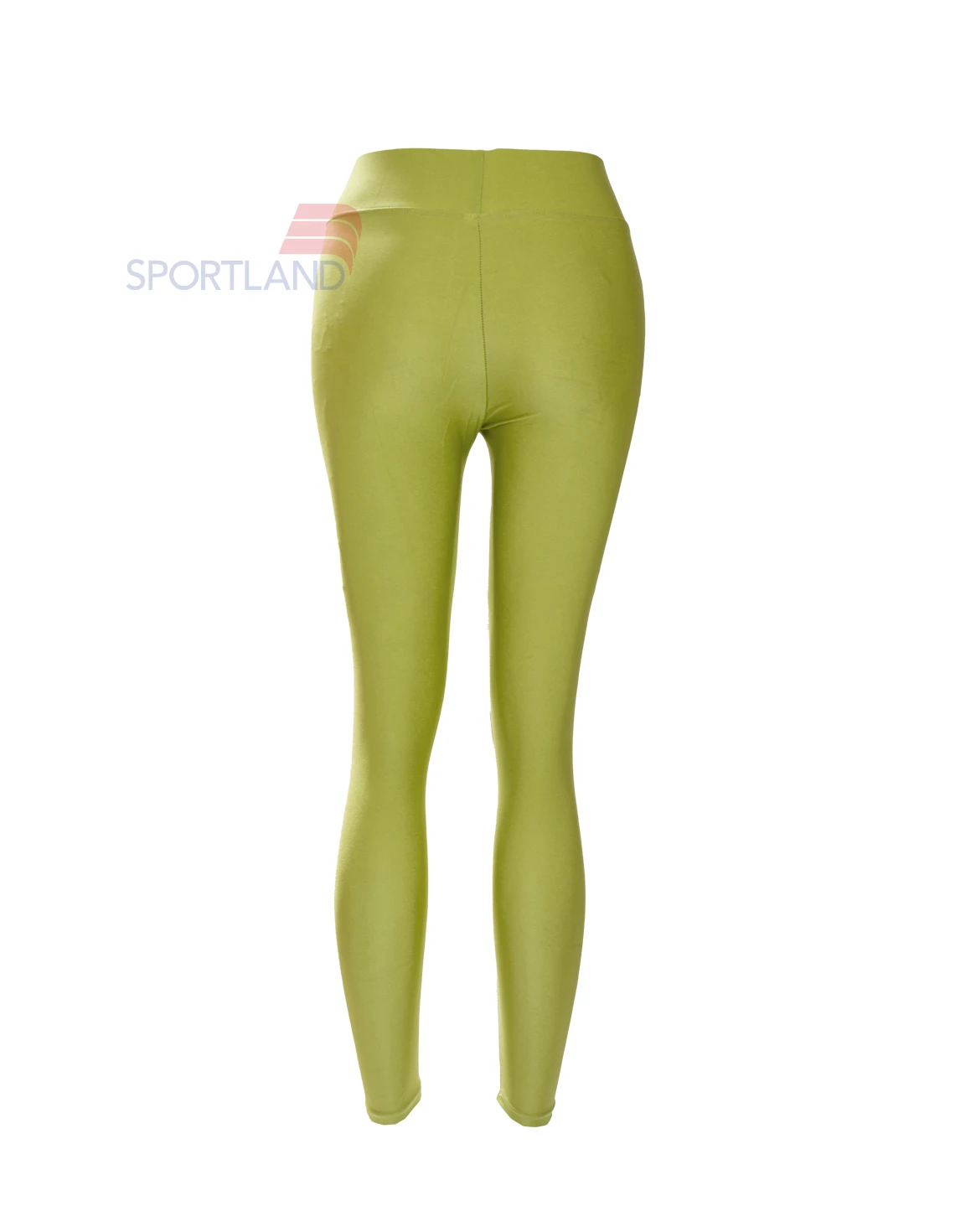 لگ ورزشی زنانه آگی Shiny Lycra 24035 W