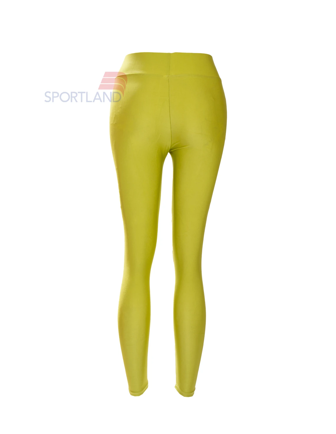 لگ ورزشی زنانه آگی Shiny Lycra 24035 W